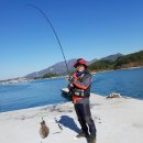 대도낚시 이미지