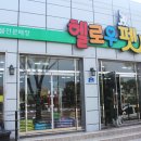 제주헬로우펫 이미지