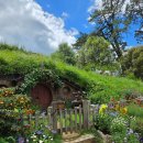 매일관광주식회사 | 뉴질랜드 북섬 여행 코스 명소 총정리 / 오클랜드 호텔 추천 / 할인쿠폰