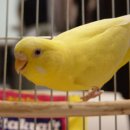 너의 곁에 있을게 이미지