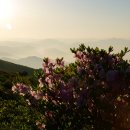 소백정원 이미지