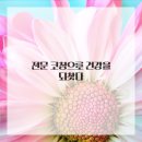 현대인의 건강코칭 이미지