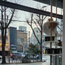 홍대 카페 추천 2.26 GRAND OPEN한 투썸플레이스 홍대서교점 오픈런 1등 후기