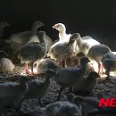 사상중앙병원 이미지