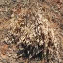 태광1농장 이미지