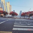 대지오토바이