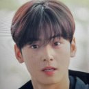 예쁜은해