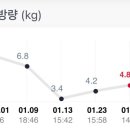 규츠 이미지