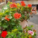 민중한의원 이미지