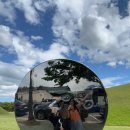 그림책이 쓰담쓰담 | 경주 여행, 추억의 캔모아 갔다가 아기 고양이 쓰담