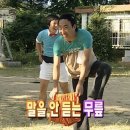 신즈헤어 | 5 - 너스키탈줄알어?