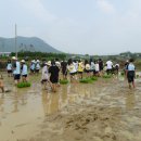 봉서중학교 이미지