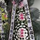 도봉-도봉-서울도봉-2326 이미지