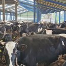 성일목장 이미지