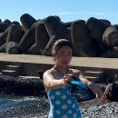 북면752 | 울릉도 여행.zip