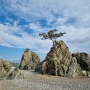 관성1리 | 해파랑길 10코스를 다녀오다.