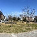 110호어린이공원 이미지