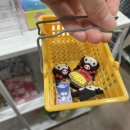 순천-37호 이미지