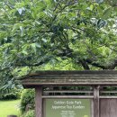 파크 재패니즈 티 가든(Japanese Tea Garden) 방문후기 무료입장 꿀팁 공유 주변 샌프란시스코 여행...
