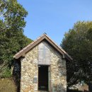 까멜리아 이미지