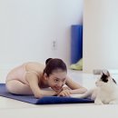 알콩달콩 이미지