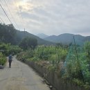 팔현1리 마을회관 이미지