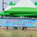 예산1리야외운동기구 | 포항 형산강 야외 물놀이장 평일에도 북적였던 여름방학 물놀이 후기