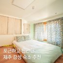 새왓댁 스테이 | 제주의 사계절을 품은 감성 숙소, 새왓댁 특별한 하루