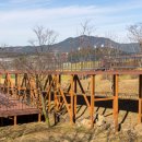 허브밸리(암석원) 이미지