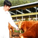 소답장수건강