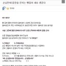 슬로우터틀 이미지