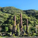 선운산도립공원(선운사 주차장 앞) 이미지