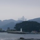 수영사랑 이미지
