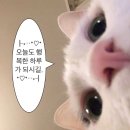 생성-율리씨스 | TWS 투어스 250202 부산 공개팬싸 후기 / 영재 사랑 MAX 💕 (+ 실물후기)