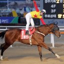 미스터국 이미지