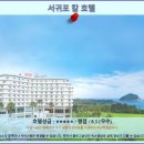 무안군교통약지이동지원센터 | 서귀포 칼 호텔 후기: 제주 여행객을 위한 완벽한 선택, 제주 호텔 추천