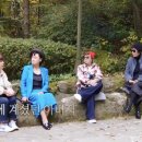 원미경 카카오 검색결과