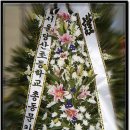 신월동016 이미지