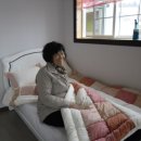 별바라기펜션 이미지