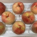 미당농장 이미지