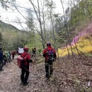 집현면사무소 이미지