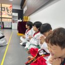 한국체대 선한빛 태권도장 | &#34;지축태권도 공개심사 | 부모님이 직접 보는 우리 아이 성장 스토리&#34; 한국체대 천명태권도장 지축점