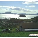 우경이네 이미지