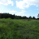 조천초등학교교래분교장 이미지