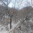 비오람요양병원 이미지