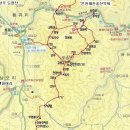 8월 07일 보라빛 맥문동 상오리 솔숲 도장산 인천해찬솔산악회 제194회차 특별 출사 산행 모객해요 이미지