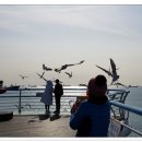 남항대교 하부 이미지