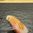 잇센스시