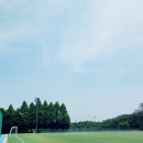 탄현체육공원 이미지