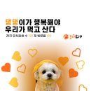 놀러오개 애견유치원 애견호텔 이미지